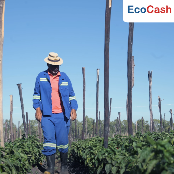EcoCash